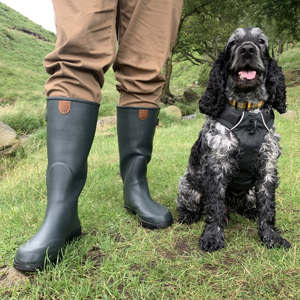 Hound boots with dog